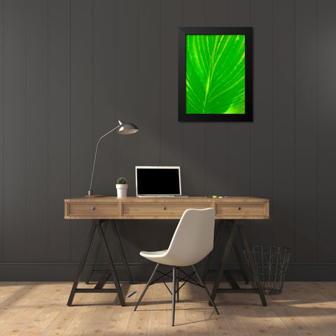 Green Leaf III Black Modern Wood Framed Art Print by Grayscale
