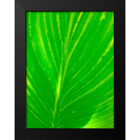 Green Leaf III Black Modern Wood Framed Art Print by Grayscale