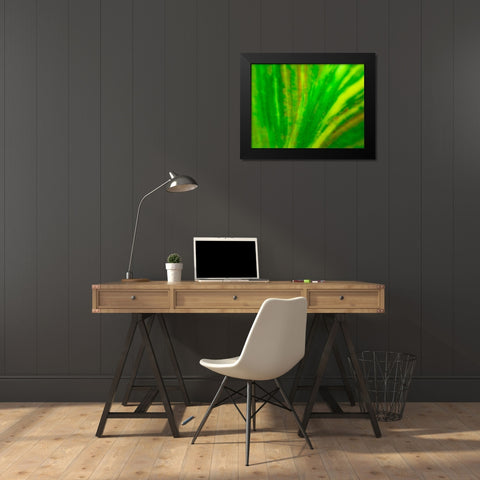 Green Leaf IV Black Modern Wood Framed Art Print by Grayscale