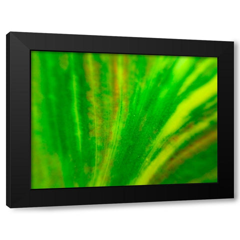 Green Leaf IV Black Modern Wood Framed Art Print with Double Matting by Grayscale