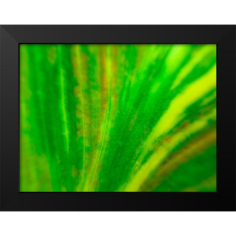Green Leaf IV Black Modern Wood Framed Art Print by Grayscale