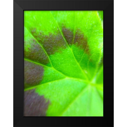 Spiral Leaf I Black Modern Wood Framed Art Print by Grayscale