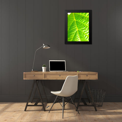 Green Leaf V Black Modern Wood Framed Art Print by Grayscale