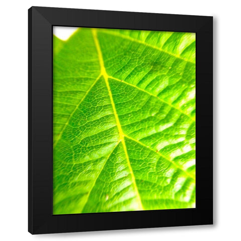Green Leaf V Black Modern Wood Framed Art Print by Grayscale