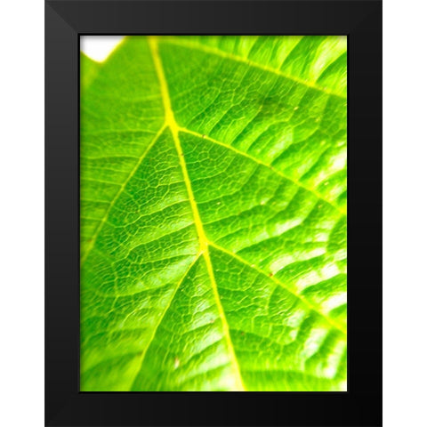 Green Leaf V Black Modern Wood Framed Art Print by Grayscale