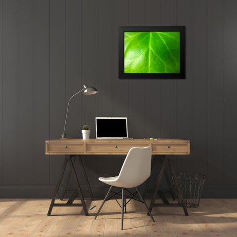 Green Leaf VI Black Modern Wood Framed Art Print by Grayscale