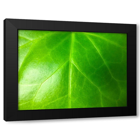 Green Leaf VI Black Modern Wood Framed Art Print by Grayscale