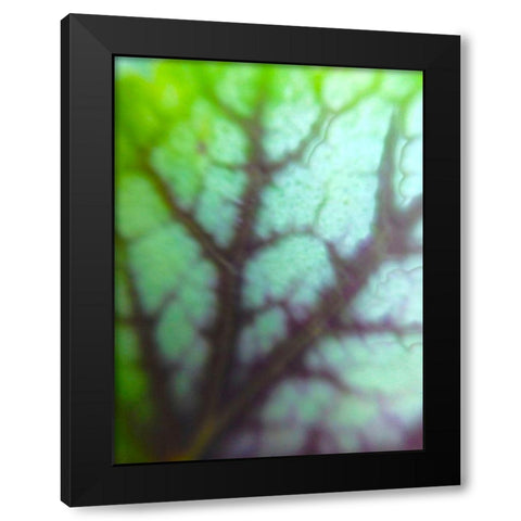 Green Leaf VIII Black Modern Wood Framed Art Print by Grayscale