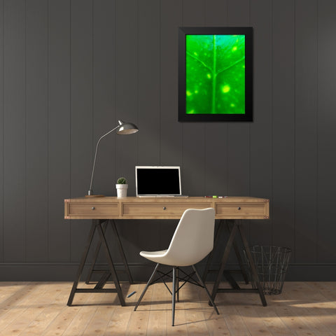 Green Leaf IX Black Modern Wood Framed Art Print by Grayscale