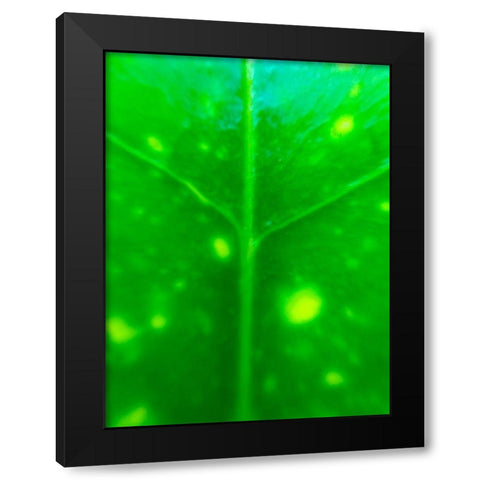 Green Leaf IX Black Modern Wood Framed Art Print with Double Matting by Grayscale