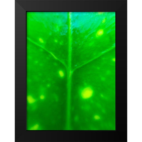 Green Leaf IX Black Modern Wood Framed Art Print by Grayscale