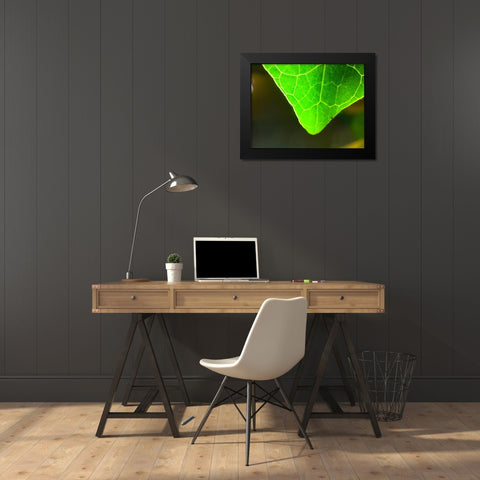Green Leaf X Black Modern Wood Framed Art Print by Grayscale