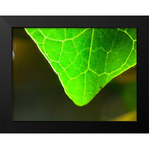 Green Leaf X Black Modern Wood Framed Art Print by Grayscale