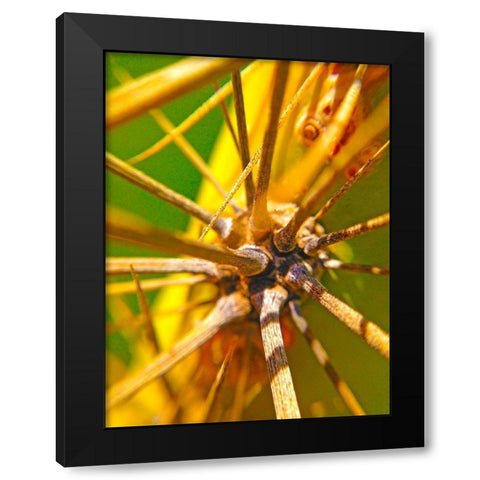 Cactus Spikes I Black Modern Wood Framed Art Print with Double Matting by Grayscale