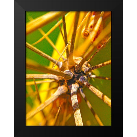 Cactus Spikes I Black Modern Wood Framed Art Print by Grayscale