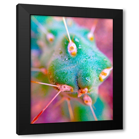 Cactus Spikes II Black Modern Wood Framed Art Print by Grayscale
