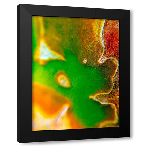 Cactus Edges I Black Modern Wood Framed Art Print with Double Matting by Grayscale