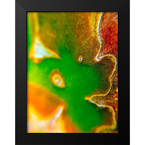 Cactus Edges I Black Modern Wood Framed Art Print by Grayscale
