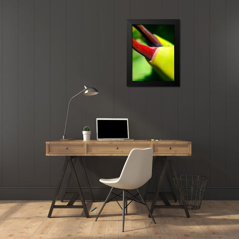 Cactus Spikes III Black Modern Wood Framed Art Print by Grayscale