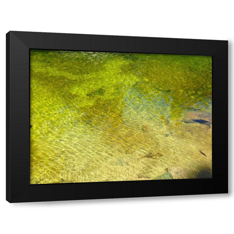 Water Scene I Black Modern Wood Framed Art Print by Grayscale