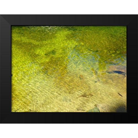 Water Scene I Black Modern Wood Framed Art Print by Grayscale