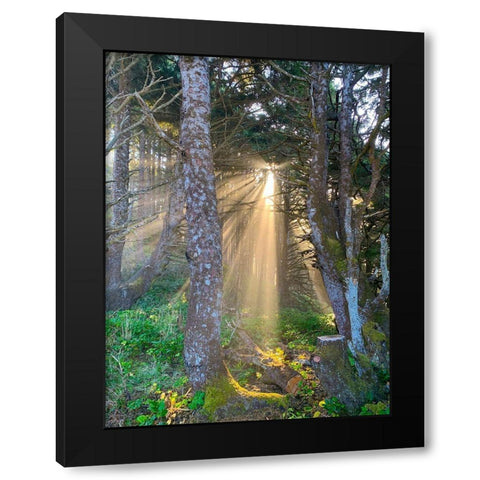 Hobbit Trail II Black Modern Wood Framed Art Print by Grayscale
