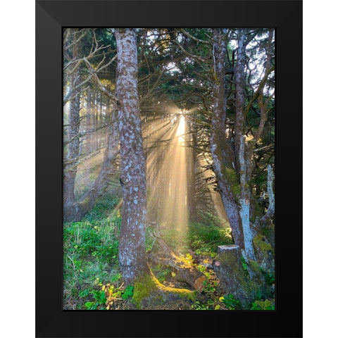 Hobbit Trail II Black Modern Wood Framed Art Print by Grayscale