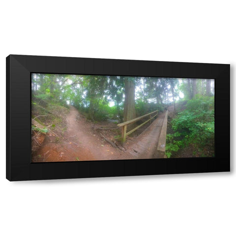 Forest Bridge I Black Modern Wood Framed Art Print by Grayscale