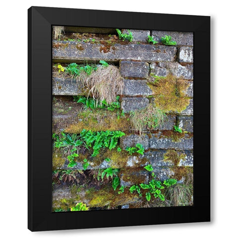 Wall Garden III Black Modern Wood Framed Art Print with Double Matting by Grayscale