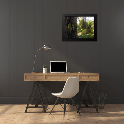 Redwood II Black Modern Wood Framed Art Print by Grayscale