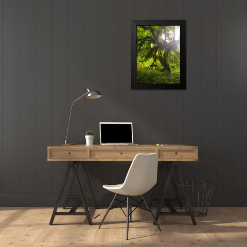 Rainforest I Black Modern Wood Framed Art Print by Grayscale