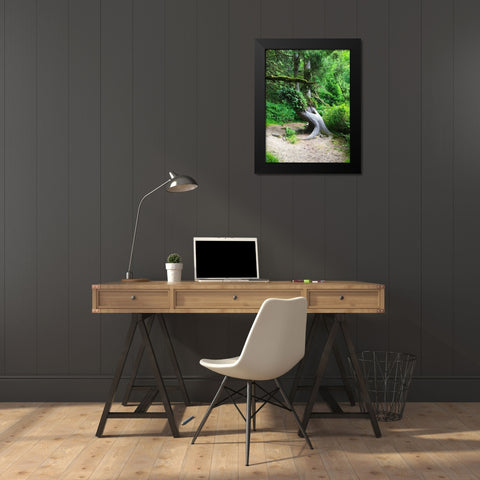 Rainforest IV Black Modern Wood Framed Art Print by Grayscale