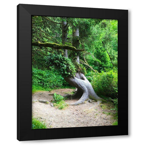 Rainforest IV Black Modern Wood Framed Art Print by Grayscale