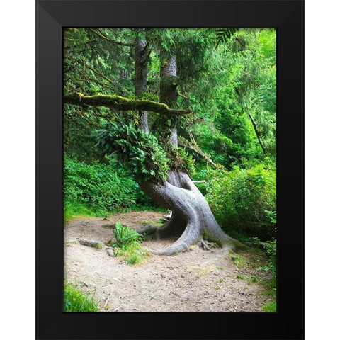 Rainforest IV Black Modern Wood Framed Art Print by Grayscale