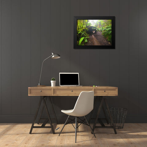 Forest Trail II Black Modern Wood Framed Art Print by Grayscale