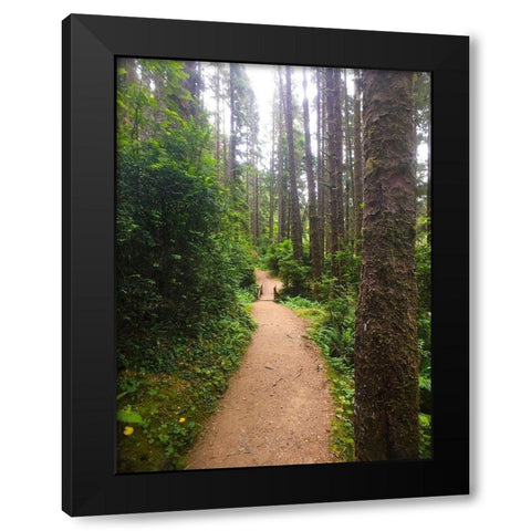 Forest Bridge II Black Modern Wood Framed Art Print with Double Matting by Grayscale