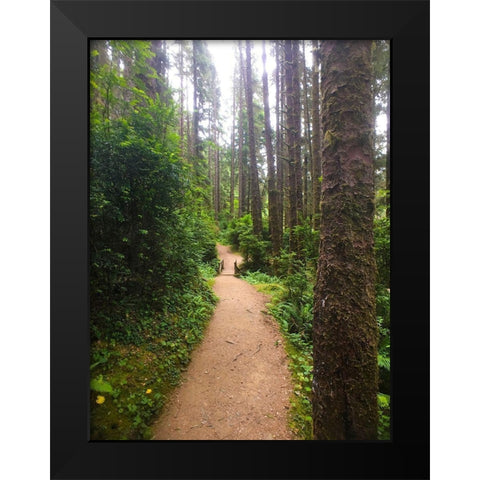 Forest Bridge II Black Modern Wood Framed Art Print by Grayscale