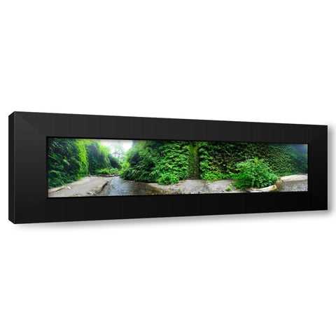 Fern Valley III Black Modern Wood Framed Art Print by Grayscale