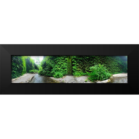 Fern Valley III Black Modern Wood Framed Art Print by Grayscale
