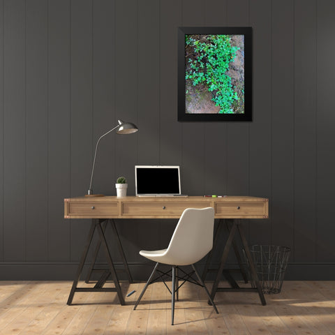 Ground Cover I Black Modern Wood Framed Art Print by Grayscale