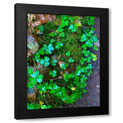 Ground Cover II Black Modern Wood Framed Art Print by Grayscale