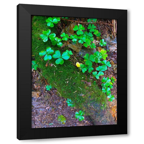 Ground Cover III Black Modern Wood Framed Art Print by Grayscale