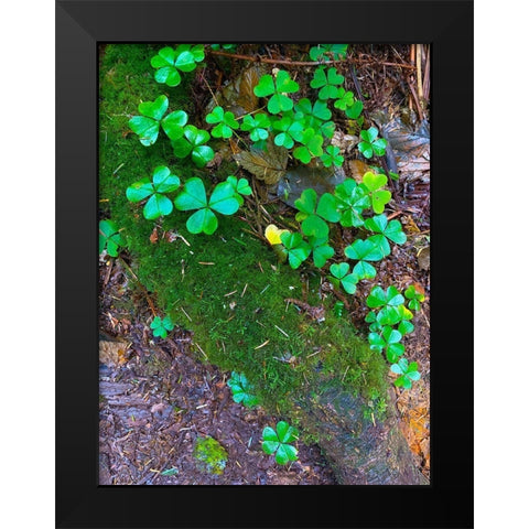 Ground Cover III Black Modern Wood Framed Art Print by Grayscale