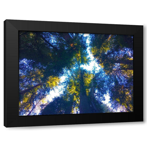 Tree Canopy I Black Modern Wood Framed Art Print by Grayscale