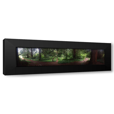 Botanical Garden I Black Modern Wood Framed Art Print by Grayscale