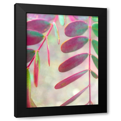 Round Leaves I Black Modern Wood Framed Art Print with Double Matting by Grayscale