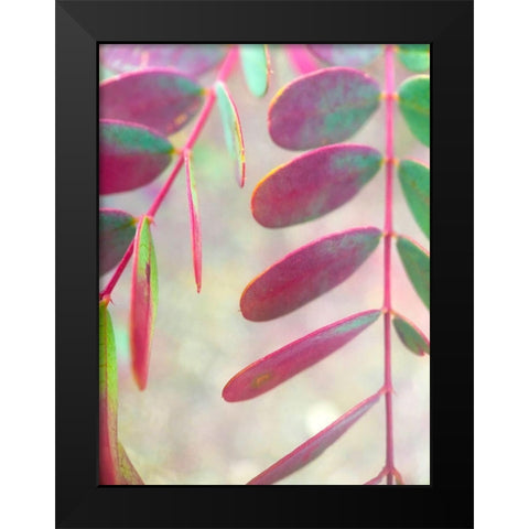 Round Leaves I Black Modern Wood Framed Art Print by Grayscale