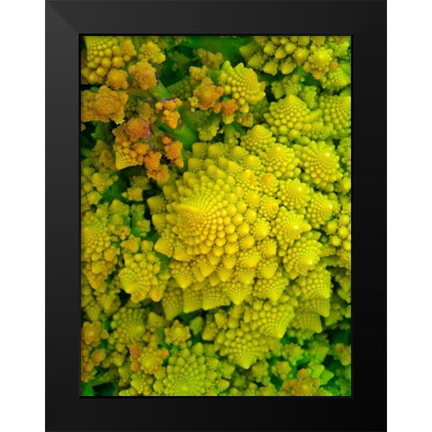 Natural Fractals I Black Modern Wood Framed Art Print by Grayscale