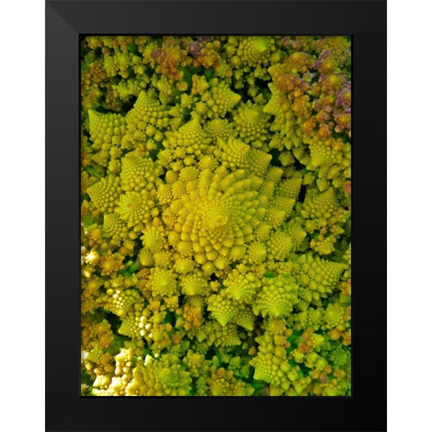 Natural Fractals II Black Modern Wood Framed Art Print by Grayscale