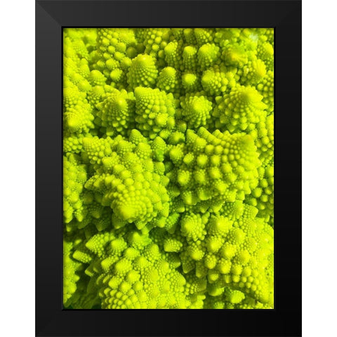 Natural Fractals III Black Modern Wood Framed Art Print by Grayscale